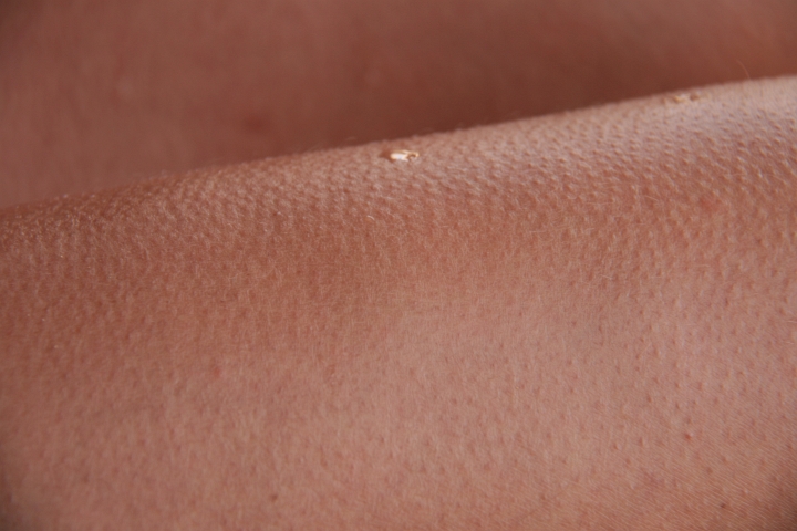 Vakantie Egypte 2010-441.jpg